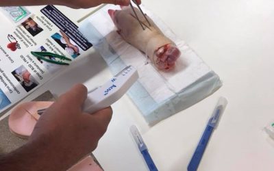 Corso di tecniche di sutura e annodamento